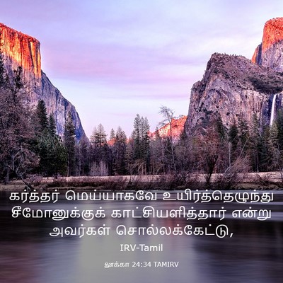 Picture 03 - லூக்கா 24:34 TAMIRV - கர்த்தர் - Bible Verse Picture