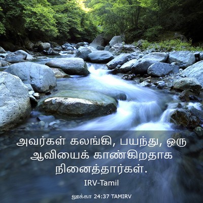 Picture 03 - லூக்கா 24:37 TAMIRV - அவர்கள் கலங்கி, - Bible Verse Picture