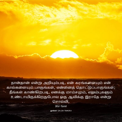 Picture 03 - லூக்கா 24:39 TAMIRV - நான்தான் என்று - Bible Verse Picture