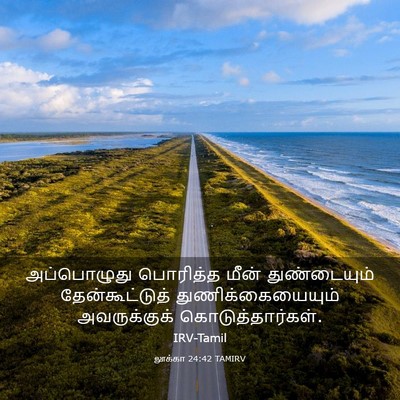 Picture 03 - லூக்கா 24:42 TAMIRV - அப்பொழுது பொரித்த - Bible Verse Picture