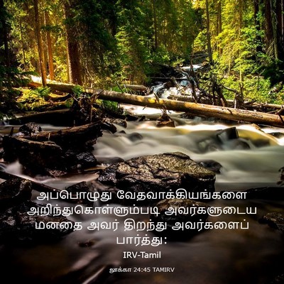 Picture 03 - லூக்கா 24:45 TAMIRV - அப்பொழுது - Bible Verse Picture