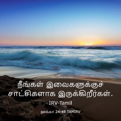 Picture 03 - லூக்கா 24:48 TAMIRV - நீங்கள் - Bible Verse Picture