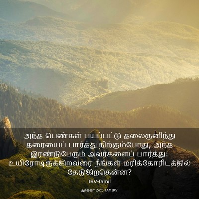 Picture 03 - லூக்கா 24:5 TAMIRV - அந்த பெண்கள் - Bible Verse Picture
