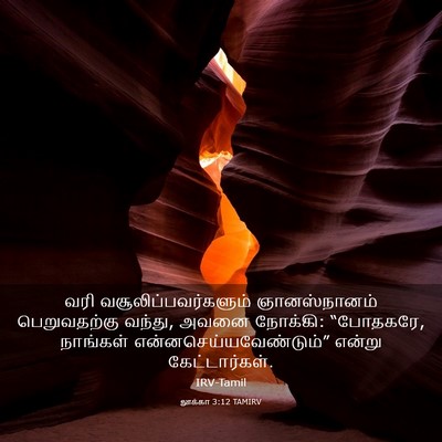 Picture 03 - லூக்கா 3:12 TAMIRV - வரி - Bible Verse Picture