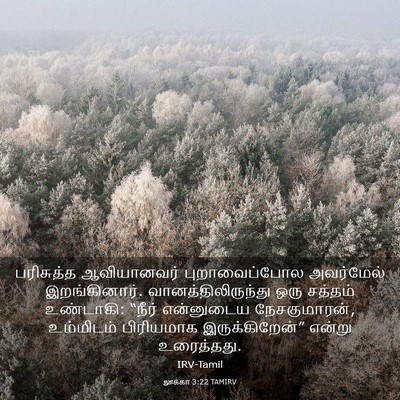 Picture 03 - லூக்கா 3:22 TAMIRV - பரிசுத்த - Bible Verse Picture