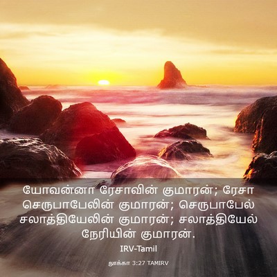 Picture 03 - லூக்கா 3:27 TAMIRV - யோவன்னா ரேசாவின் - Bible Verse Picture
