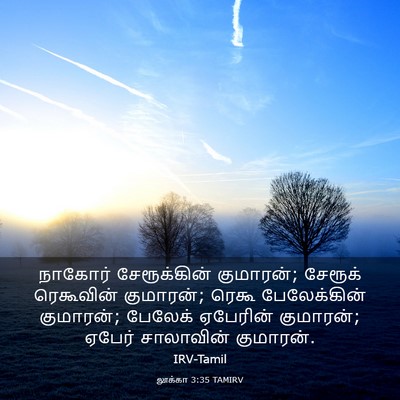 Picture 03 - லூக்கா 3:35 TAMIRV - நாகோர் சேரூக்கின் - Bible Verse Picture