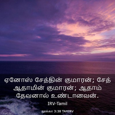 Picture 03 - லூக்கா 3:38 TAMIRV - ஏனோஸ் சேத்தின் - Bible Verse Picture