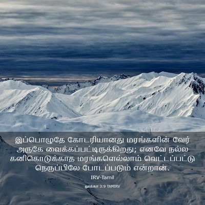 Picture 03 - லூக்கா 3:9 TAMIRV - இப்பொழுதே - Bible Verse Picture