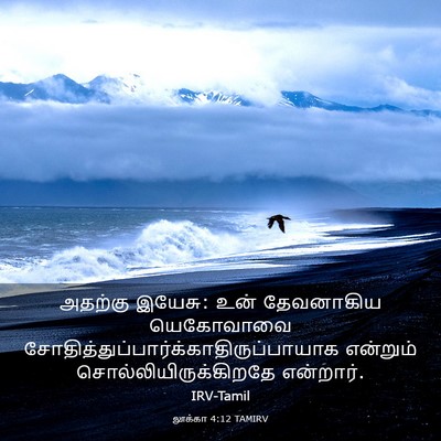 Picture 03 - லூக்கா 4:12 TAMIRV - அதற்கு இயேசு: உன் - Bible Verse Picture