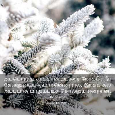 Picture 03 - லூக்கா 4:3 TAMIRV - அப்பொழுது - Bible Verse Picture