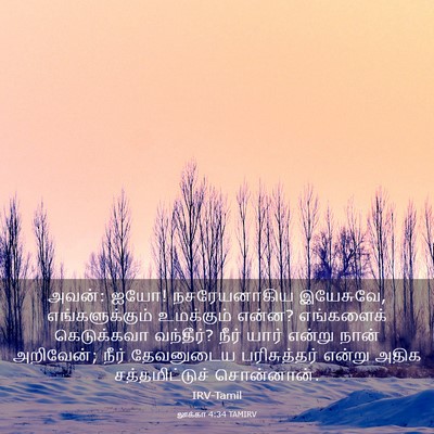Picture 03 - லூக்கா 4:34 TAMIRV - அவன்: ஐயோ! - Bible Verse Picture