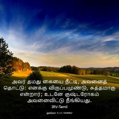 Picture 03 - லூக்கா 5:13 TAMIRV - அவர் தமது கையை - Bible Verse Picture