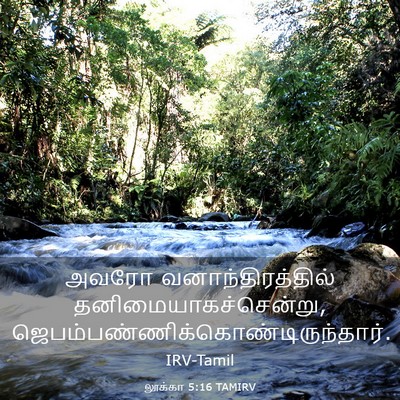 Picture 03 - லூக்கா 5:16 TAMIRV - அவரோ - Bible Verse Picture