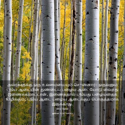 Picture 03 - லூக்கா 5:36 TAMIRV - அவர்களுக்கு ஒரு - Bible Verse Picture