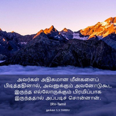 Picture 03 - லூக்கா 5:9 TAMIRV - அவர்கள் அதிகமான - Bible Verse Picture