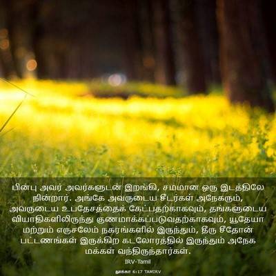 Picture 03 - லூக்கா 6:17 TAMIRV - பின்பு அவர் - Bible Verse Picture