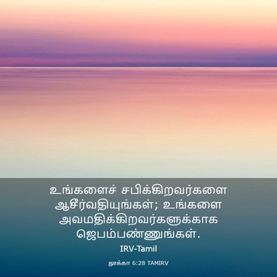 Picture 03 - லூக்கா 6:28 TAMIRV - உங்களைச் - Bible Verse Picture