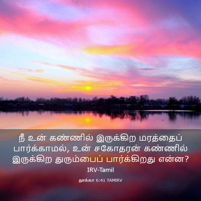 Picture 03 - லூக்கா 6:41 TAMIRV - நீ உன் கண்ணில் - Bible Verse Picture