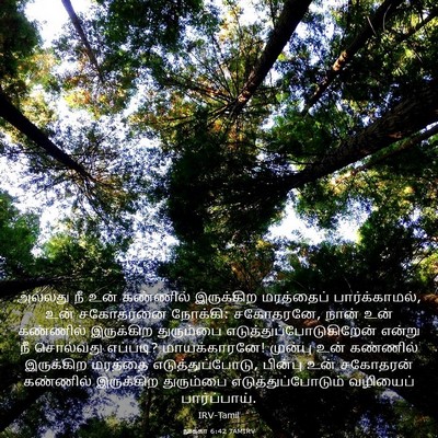 Picture 03 - லூக்கா 6:42 TAMIRV - அல்லது நீ உன் - Bible Verse Picture