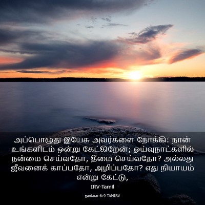Picture 03 - லூக்கா 6:9 TAMIRV - அப்பொழுது இயேசு - Bible Verse Picture