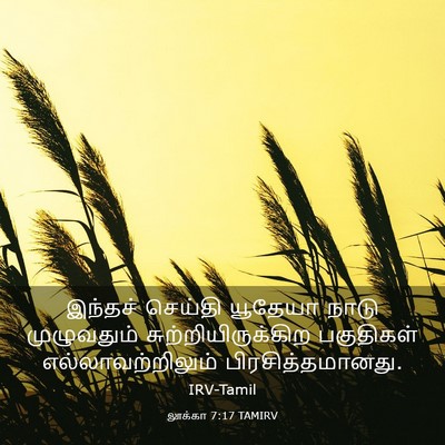 Picture 03 - லூக்கா 7:17 TAMIRV - இந்தச் செய்தி - Bible Verse Picture