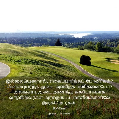 Picture 03 - லூக்கா 7:25 TAMIRV - இல்லையென்றால், - Bible Verse Picture