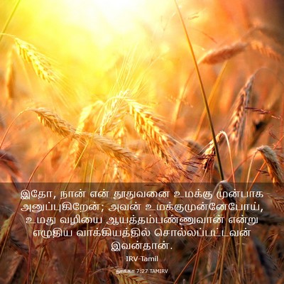 Picture 03 - லூக்கா 7:27 TAMIRV - இதோ, நான் என் - Bible Verse Picture