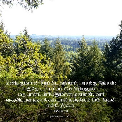 Picture 03 - லூக்கா 7:34 TAMIRV - மனிதகுமாரன் - Bible Verse Picture