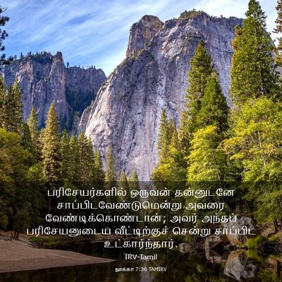 Picture 03 - லூக்கா 7:36 TAMIRV - பரிசேயர்களில் - Bible Verse Picture