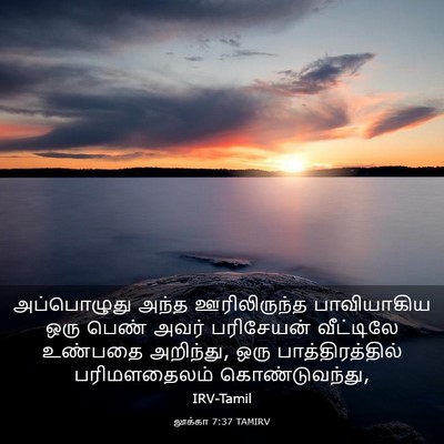 Picture 03 - லூக்கா 7:37 TAMIRV - அப்பொழுது அந்த - Bible Verse Picture