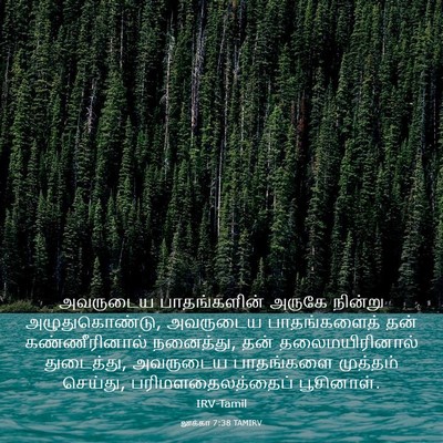 Picture 03 - லூக்கா 7:38 TAMIRV - அவருடைய - Bible Verse Picture
