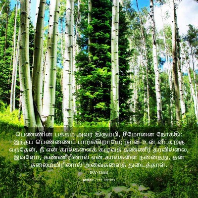 Picture 03 - லூக்கா 7:44 TAMIRV - பெண்ணின் பக்கம் - Bible Verse Picture