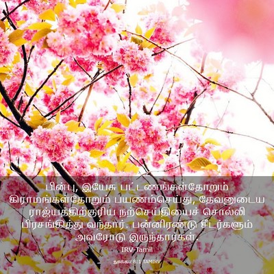 Picture 03 - லூக்கா 8:1 TAMIRV - பின்பு, இயேசு - Bible Verse Picture