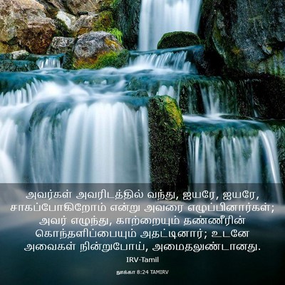 Picture 03 - லூக்கா 8:24 TAMIRV - அவர்கள் - Bible Verse Picture