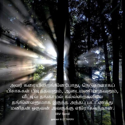 Picture 03 - லூக்கா 8:27 TAMIRV - அவர் - Bible Verse Picture