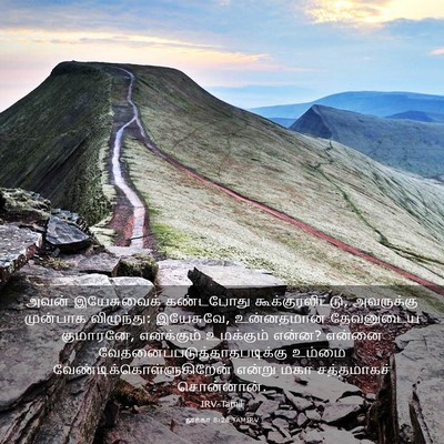 Picture 03 - லூக்கா 8:28 TAMIRV - அவன் இயேசுவைக் - Bible Verse Picture
