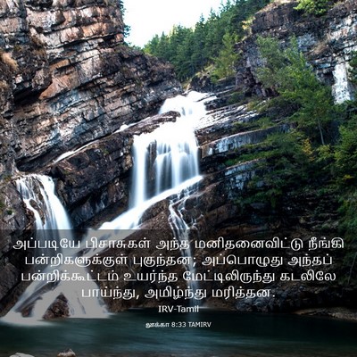 Picture 03 - லூக்கா 8:33 TAMIRV - அப்படியே - Bible Verse Picture