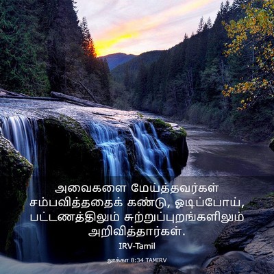 Picture 03 - லூக்கா 8:34 TAMIRV - அவைகளை - Bible Verse Picture