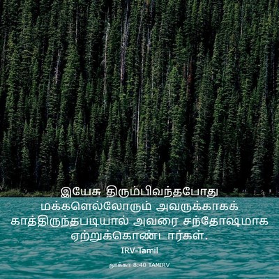 Picture 03 - லூக்கா 8:40 TAMIRV - இயேசு - Bible Verse Picture