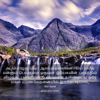 Picture 03 - லூக்கா 8:41 TAMIRV - அப்பொழுது ஜெப - Bible Verse Picture