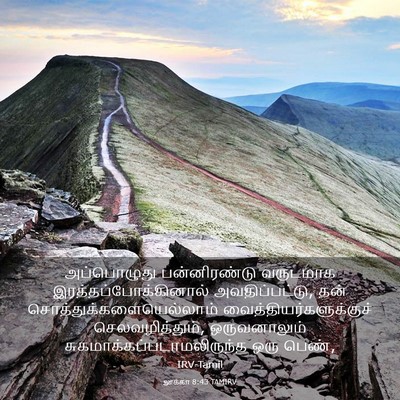 Picture 03 - லூக்கா 8:43 TAMIRV - அப்பொழுது - Bible Verse Picture