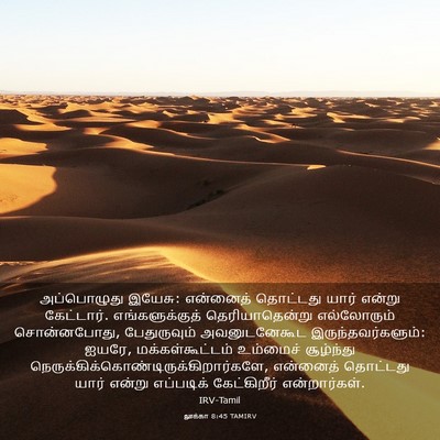 Picture 03 - லூக்கா 8:45 TAMIRV - அப்பொழுது இயேசு: - Bible Verse Picture