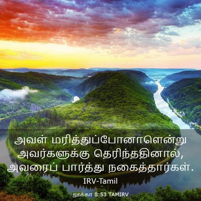 Picture 03 - லூக்கா 8:53 TAMIRV - அவள் - Bible Verse Picture