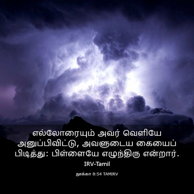 Picture 03 - லூக்கா 8:54 TAMIRV - எல்லோரையும் அவர் - Bible Verse Picture
