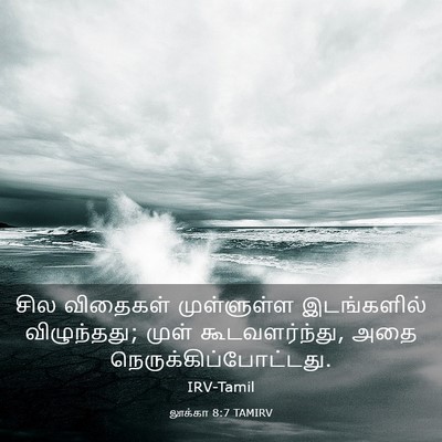 Picture 03 - லூக்கா 8:7 TAMIRV - சில விதைகள் - Bible Verse Picture