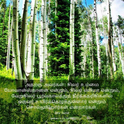Picture 03 - லூக்கா 9:19 TAMIRV - அதற்கு அவர்கள்: - Bible Verse Picture