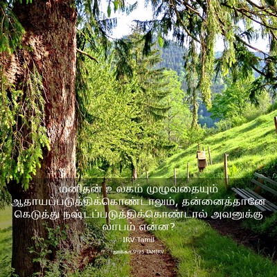 Picture 03 - லூக்கா 9:25 TAMIRV - மனிதன் உலகம் - Bible Verse Picture