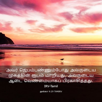 Picture 03 - லூக்கா 9:29 TAMIRV - அவர் - Bible Verse Picture