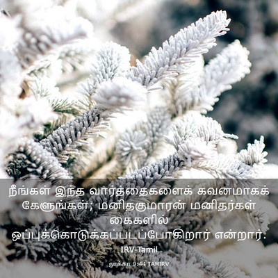 Picture 03 - லூக்கா 9:44 TAMIRV - நீங்கள் இந்த - Bible Verse Picture